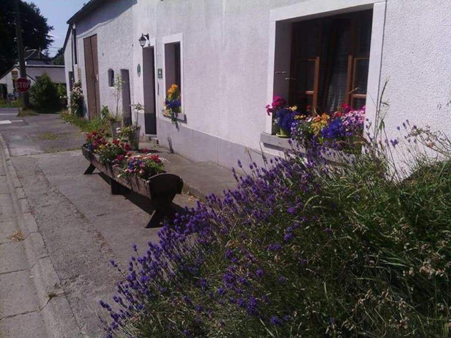 Gite Les 7 Frenes Vaux-sur-Sure Exterior foto